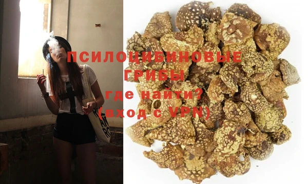 дживик Алексеевка
