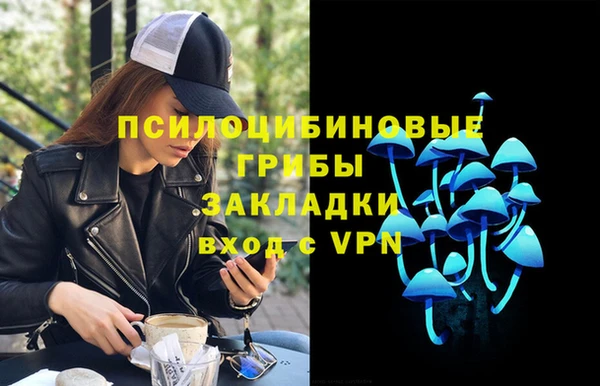 дживик Алексеевка