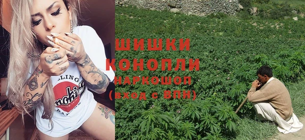 винт Алзамай