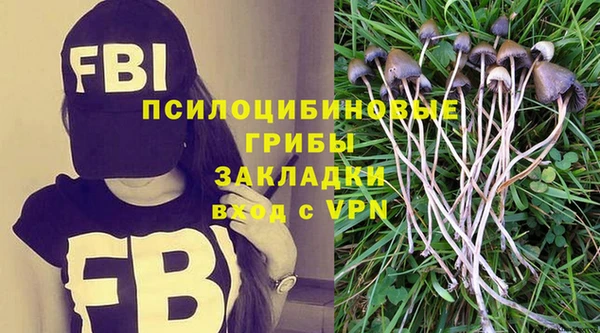 винт Алзамай